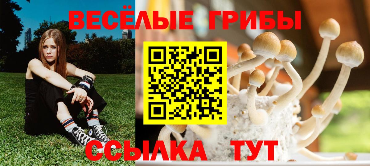 Звенигород  Псилоцибиновые грибы MAGIC MUSHROOMS  Вход с VPN 