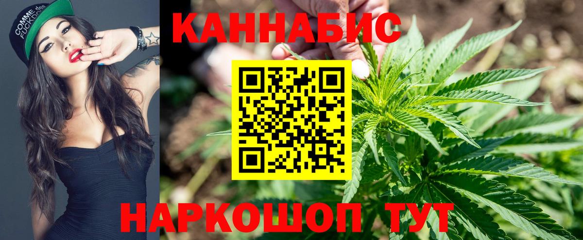 Конопля марихуана Звенигород